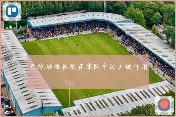 足球助理教练在球队中的关键作用